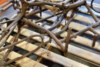 DOUGLAS: A group of 5 Douglas frames, believed to be TS frames circa 1920-1925 [Sydney] - 5