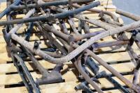 DOUGLAS: A group of EW frames in various conditions [Sydney] - 5
