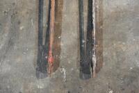 BSA: A&nbsp;BSA light&nbsp;weight fork blade, unknown model, believed 250 to 350 drum brake [Sydney] - 10