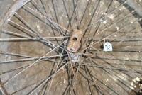 Forecar: Two forecar&nbsp;40 spoke, 22" front wheels [Sydney] - 4