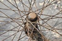 Forecar: Two forecar&nbsp;40 spoke, 22" front wheels [Sydney] - 9