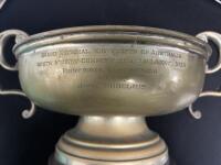 TROPHIES: A collection of various trophies, tallest 27cm high - 3