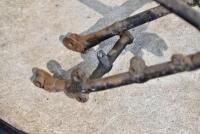 NORTON: Quantity of frames, believed to be Norton, in need of repair [Sydney] - 8