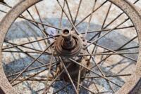 WHEEL: Unidentified 40 spoke wheel with British Hub Company hub [Sydney] - 4