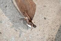 DOUGLAS: Two circa 1920s rear mud guards with stand clips, believed Douglas TS [Sydney] - 5
