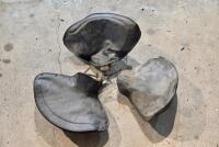 SEATS: Three metal saddles, with three leather covers [Sydney]