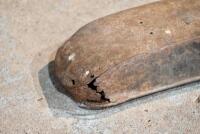TANK: A veteran flat petrol tank, unknown maker, 66cm long, 13.5cm wide [Sydney] - 4