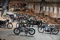 Auction Information - 6