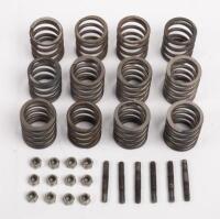 ASTON MARTIN: A quantity of second hand outer valve springs