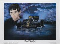 SENNA: A series of three reproduced glossy posters by artist Jacqueline Huet depicting Ayrton Senna at different stages of his career, 50cm high, 70cm wide - 2