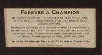SENNA: A framed and glazed limited edition (468/850) print titled 'Ayrton Senna - Forever a champion' by Roxanne Lambie. 61cm wide, 102.5cm high.&nbsp; - 5