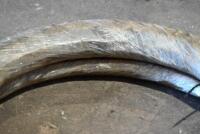 TYRES: A pair&nbsp;of Okada 26 x 2.5-inch NOS tyres&nbsp;still in original wrapping [Location: Sydney] - 5