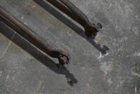 DOUGLAS: A pair of Douglas forks, believed to be CW/EW [Location: Sydney] - 4