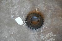 SPROCKET: Rear wheel pedal ratchet sprocket, 21 teeth, large thread [Location: Sydney]