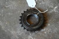 SPROCKET: Rear wheel pedal ratchet sprocket, 21 teeth, large thread [Location: Sydney] - 3