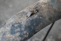 MUDGUARDS: A pair of mudguards, unknown make and model [Location: Sydney] - 4