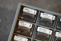 TOOLS: A 16 multi-grid drawer with screws, nuts and washers [Location: Sydney] - 2