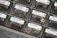 TOOLS: A 16 multi-grid drawer with screws, nuts and washers [Location: Sydney] - 4