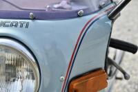 1981 Ducati 500SL Pantah [Location: Sydney] - 14