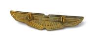 BADGE: AMV8 Aston Martin badge in gold - 2