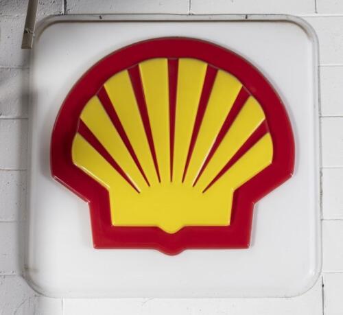 SHELL: A large perspex c1980s Shell embossed clamshell&nbsp;lightbox lens approx 92cm high, 93cm wide