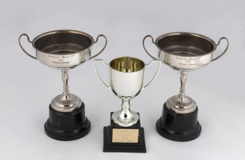 TROPHIES: A group of three novelty awards presented to David Jones from various events