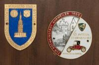 BADGE BOARD: A badge board including 22 German related fine detailed badges, all fixed - 4