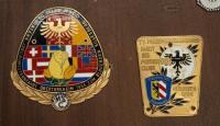 BADGE BOARD: A badge board including 22 German related fine detailed badges, all fixed - 7