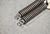 DOUGLAS: Two Douglas fork springs. [Location: Sydney] - 3