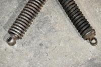 DOUGLAS: Two Douglas fork springs. [Location: Sydney] - 2