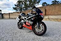 1999 Aprilia RS250 [Location: Sydney] - 4