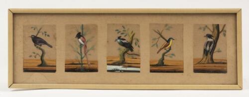 FAUNA: Two framed sets of exotic birds and butterflies