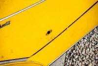 1962 Messerschmitt KR200 Kabinenroller Micro-car [Location: Sydney] - 63