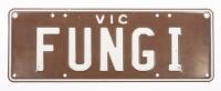 NUMBER PLATE: Victorian Custom Number Plate 'FUNGI', sold with rights to display - 4