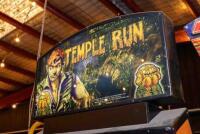 'Temple Run' Coastal Amusements upright machine - 4