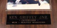 BASEBALL: Three mounted to board photographs behind perspex of baseball players, including Cal Ripken Jr., Ken Griffey Jnr., and Frank Thomas, each measure 39cm high, 30cm wide - 3