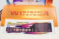 'Street Fighter III, 3rd Strike' twin unit [Location: Dingley Village] - 14