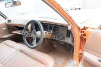 1973 Holden HQ Premier wagon - [Location: Melbourne] - 33