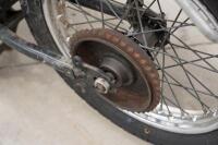 1954&nbsp;Triumph Tiger T110 - [Location: Melbourne] - 4
