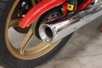 1983 Ducati 900 MHR&nbsp;'Mike Hailwood Replica' (New Video Added) [Location: Melbourne] - 55