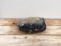 HONDA: An early 1970s Honda XL250 or SL250 fuel tank - 2