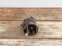 BSA: A BSA gearbox thought to possibly suit a C10 or C11 model - 2