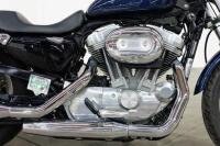 2007 Harley Davidson 883 Sportster&nbsp;- NO RESERVE - 6