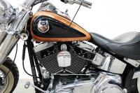 2008 Harley Davidson Soft Tail Deluxe 105th Anniversary (WOVR) - NO RESERVE - 10