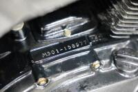 1995 Suzuki GS500E - NO RESERVE - 13