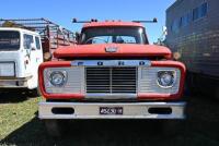 Ford F800 Flatbed Truck [NEW VIDEO ADDED] - 6