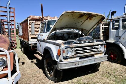 1974 Dodge D5N 6x4 Truck [NEW VIDEO ADDED]