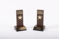 TIGA FA81: Two CAMS Gold Star awards awarded to Alan Hamilton driving the Tiga FA81