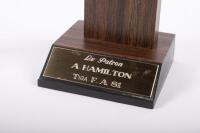 TIGA FA81: Two CAMS Gold Star awards awarded to Alan Hamilton driving the Tiga FA81 - 2