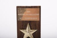 TIGA FA81: Two CAMS Gold Star awards awarded to Alan Hamilton driving the Tiga FA81 - 4